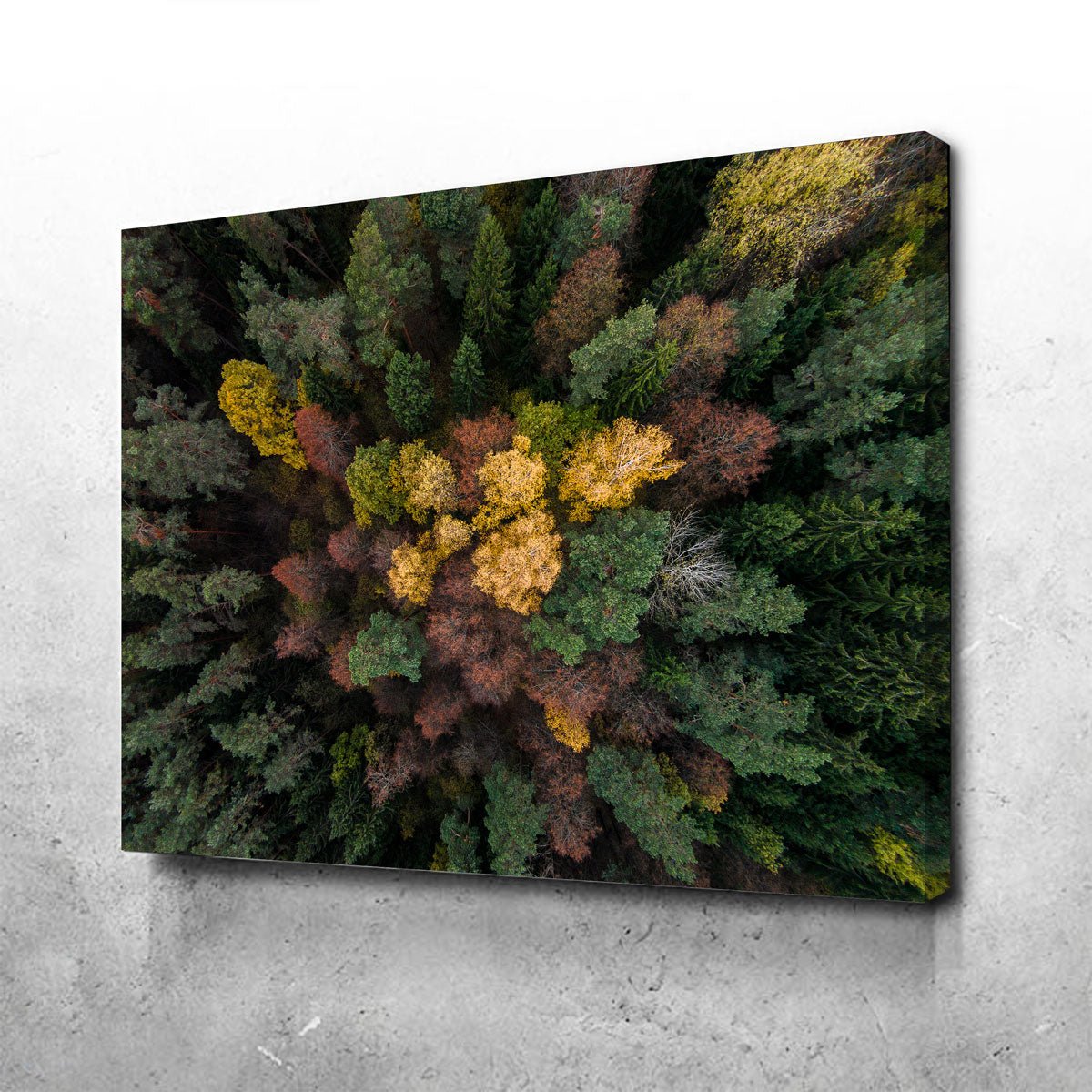 Colorful Canopy Wall Art
