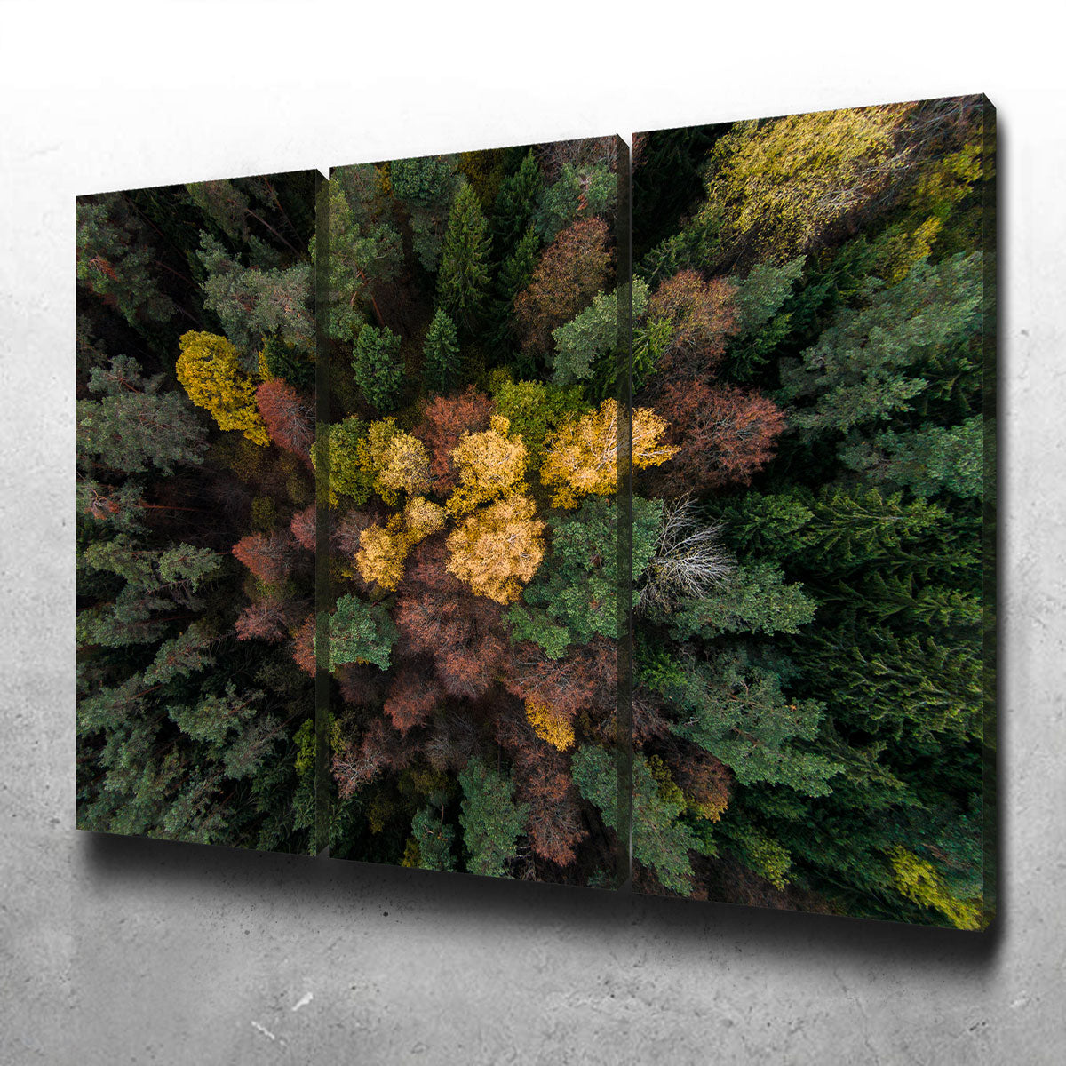 Colorful Canopy Wall Art