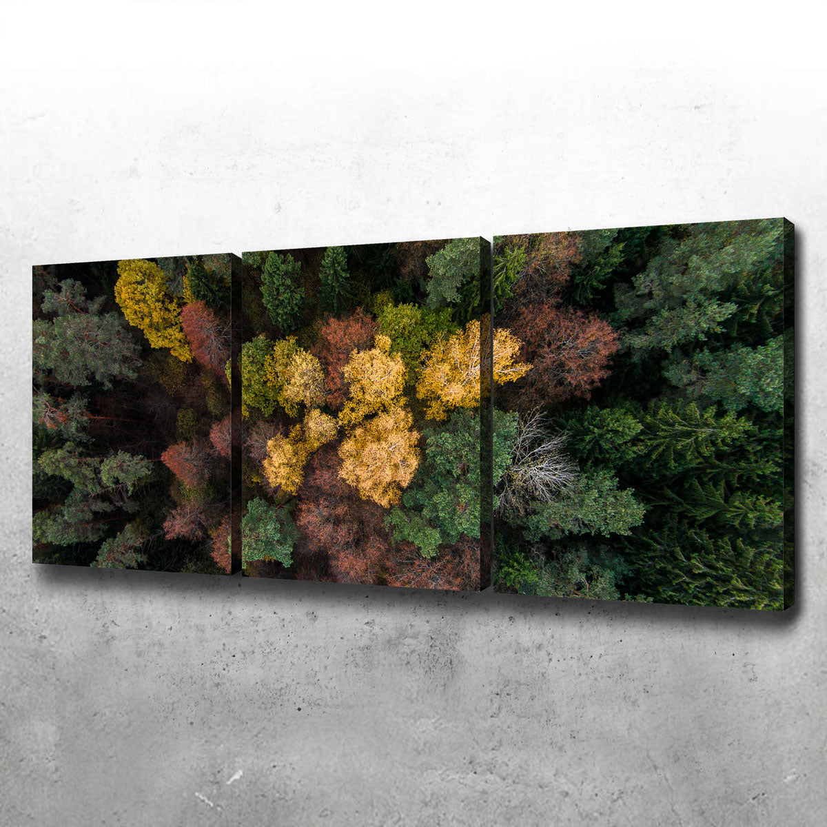 Colorful Canopy Wall Art
