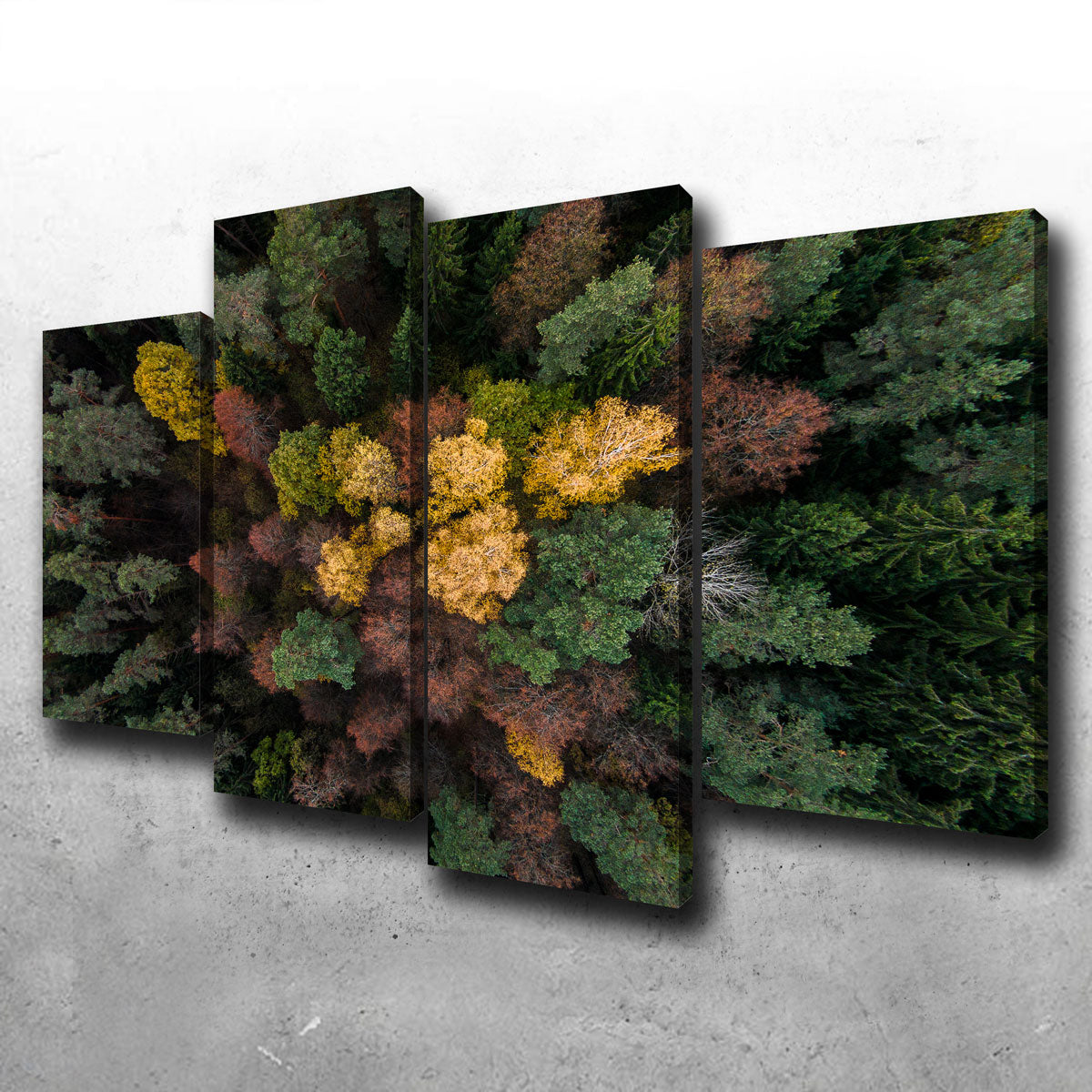 Colorful Canopy Wall Art