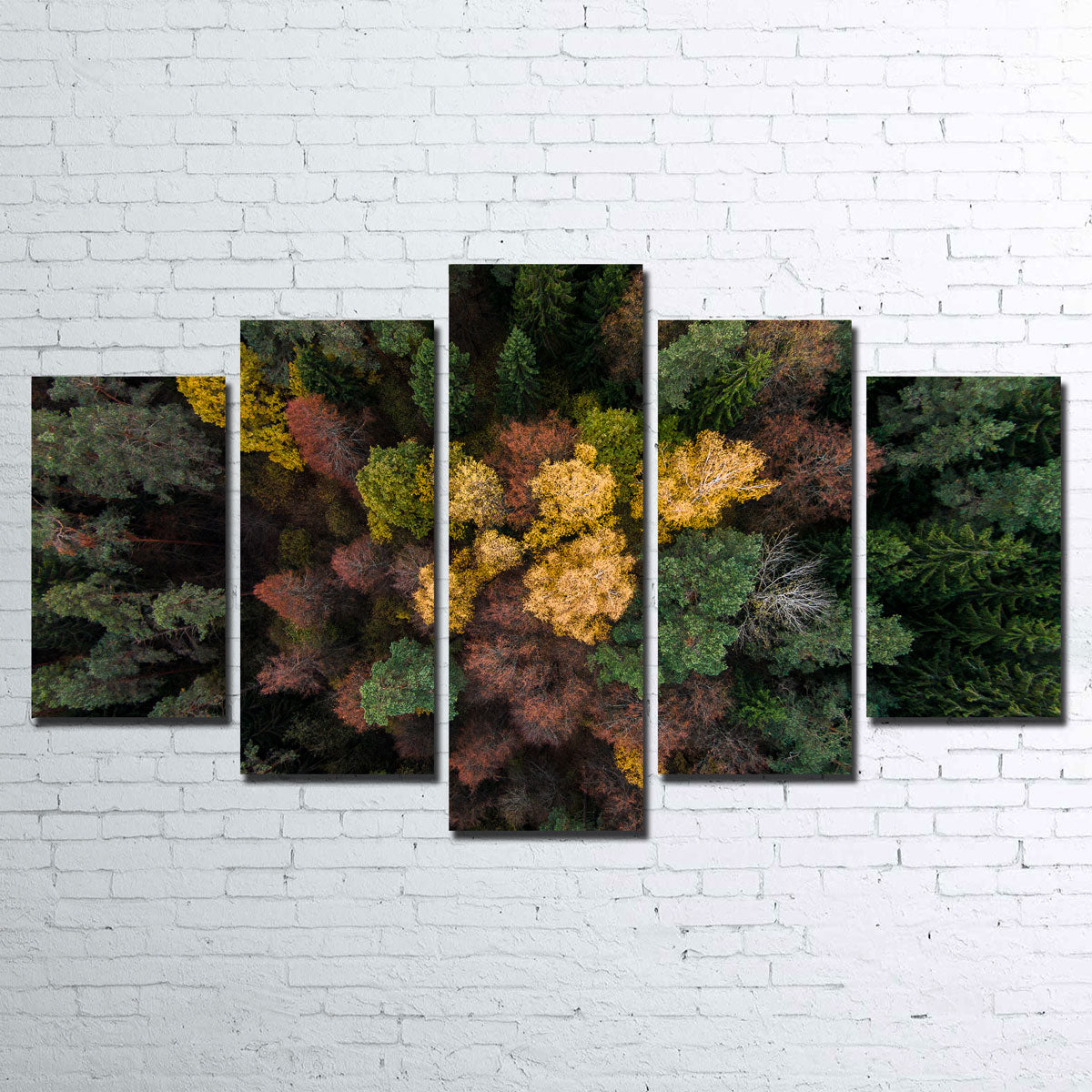 Colorful Canopy Wall Art