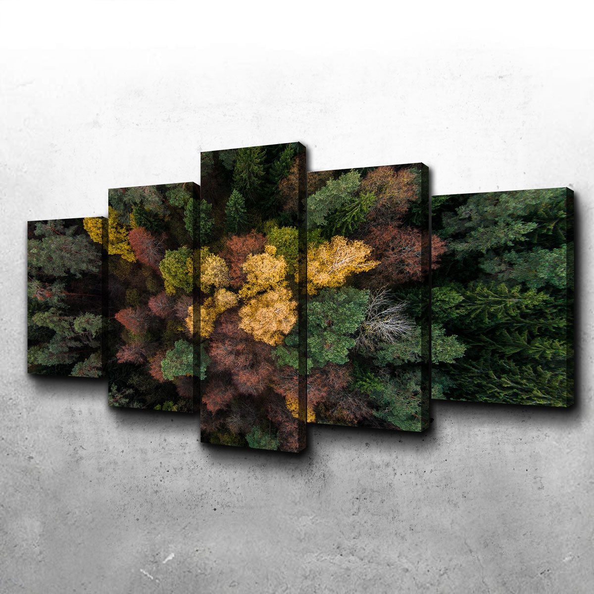 Colorful Canopy Wall Art