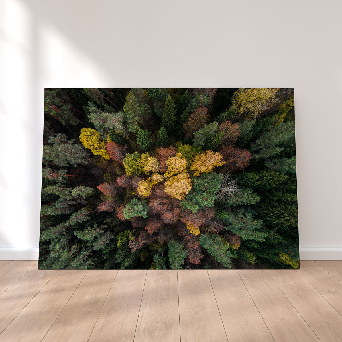 Colorful Canopy Wall Art