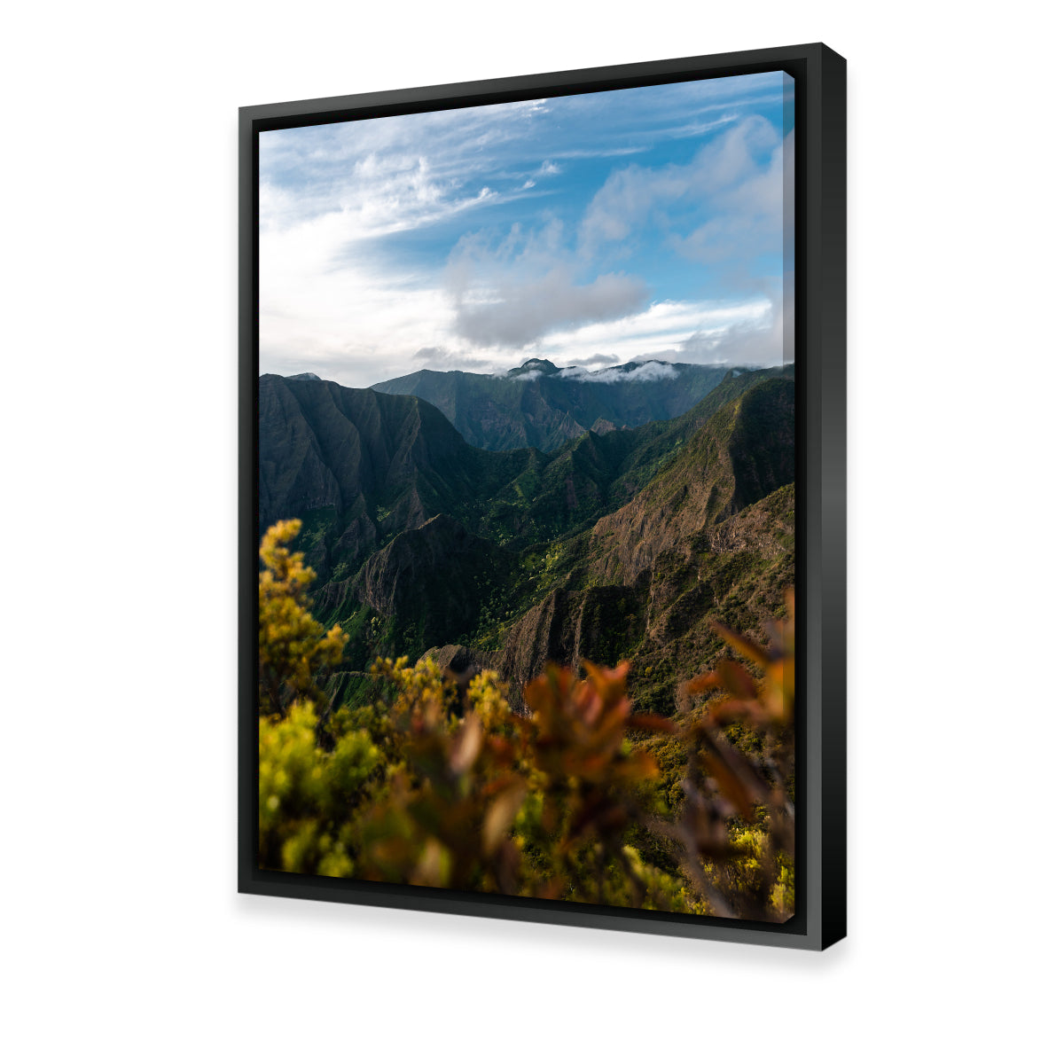 Colorful Valley Wall Art
