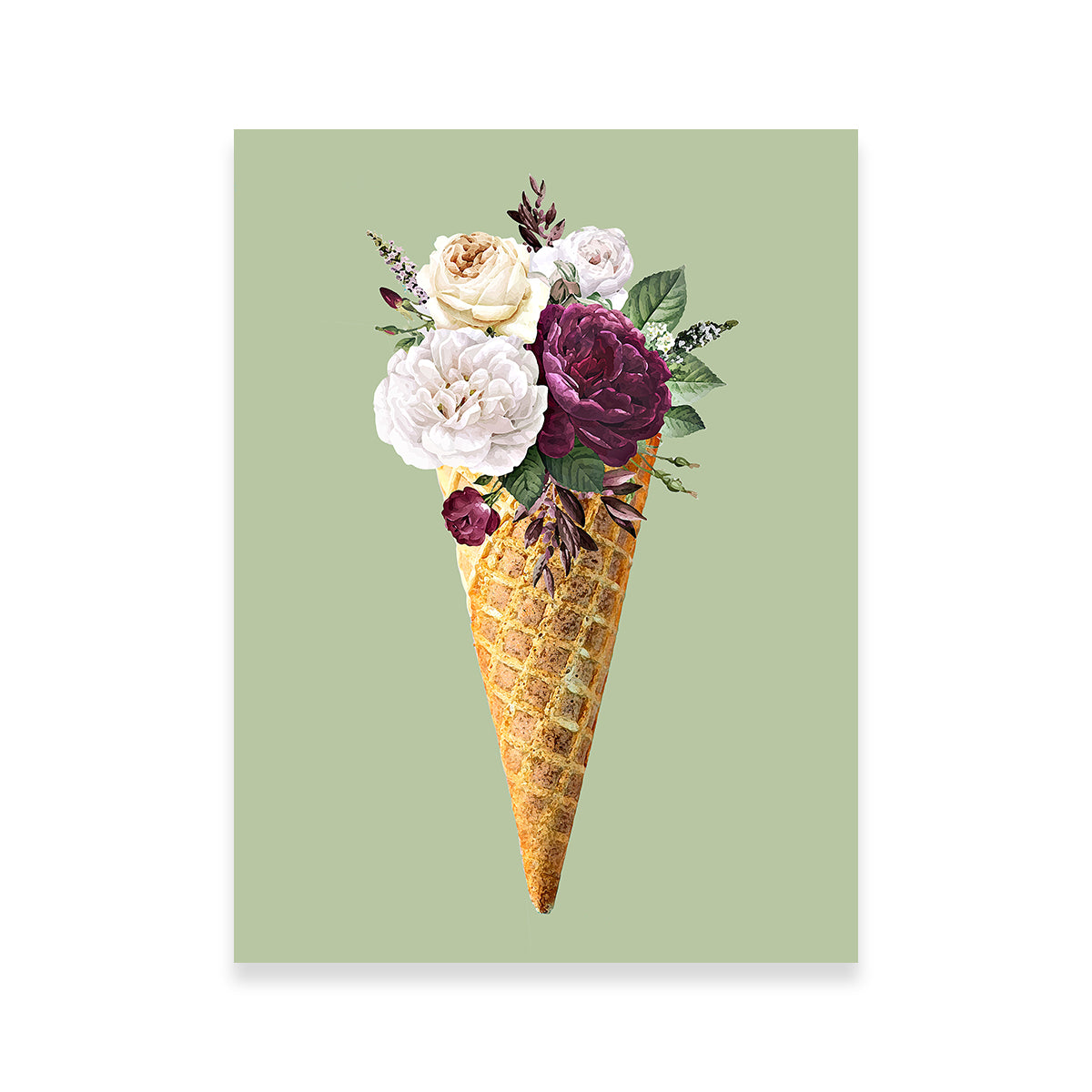 Cone Flower Canvas Art Wall Art