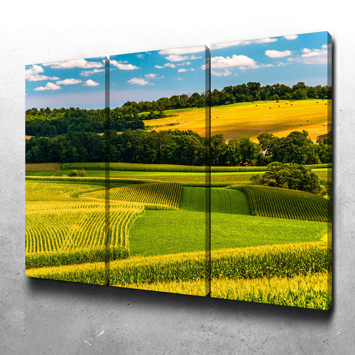 Corn Fields and Rolling Hills York County Wall Art