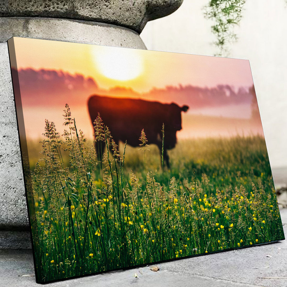 Cow Sunrise Wall Art