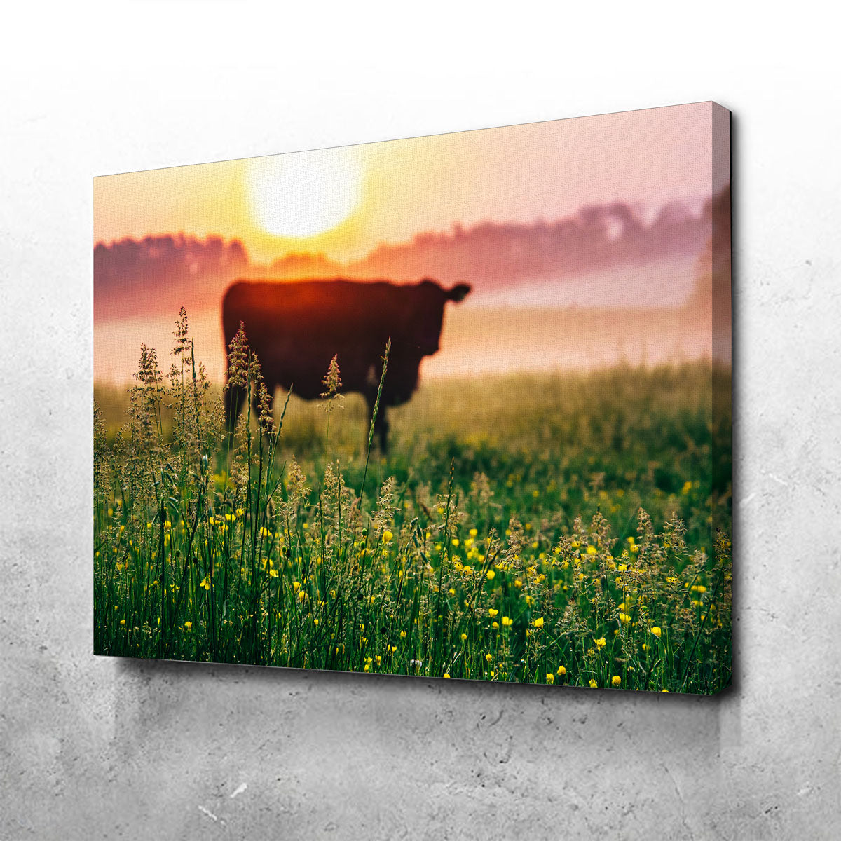 Cow Sunrise Wall Art