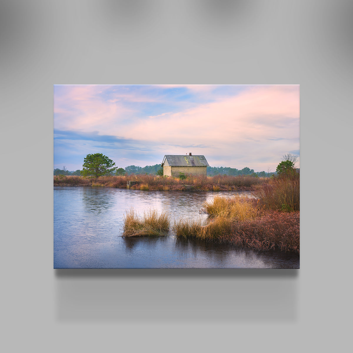 Cranberry Bog Winter Transition Wall Art