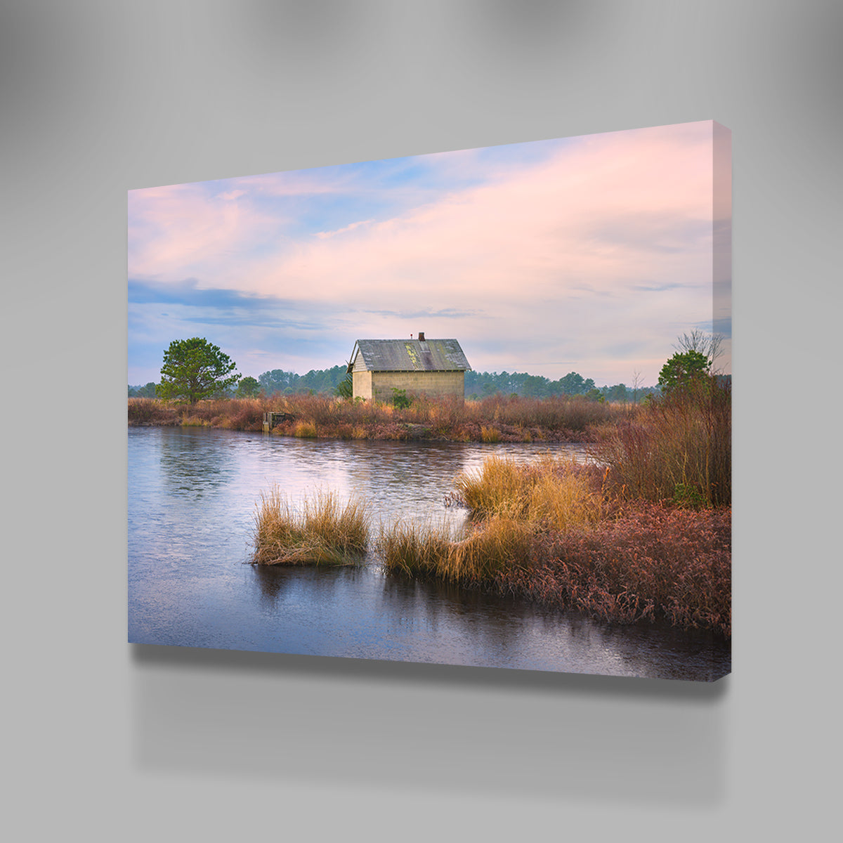 Cranberry Bog Winter Transition Wall Art