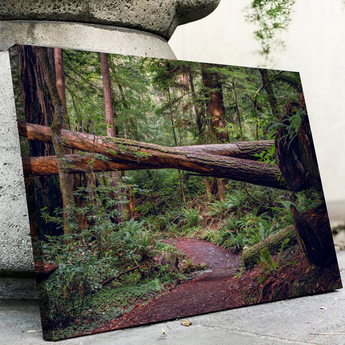 Crossed Trees Wall Art