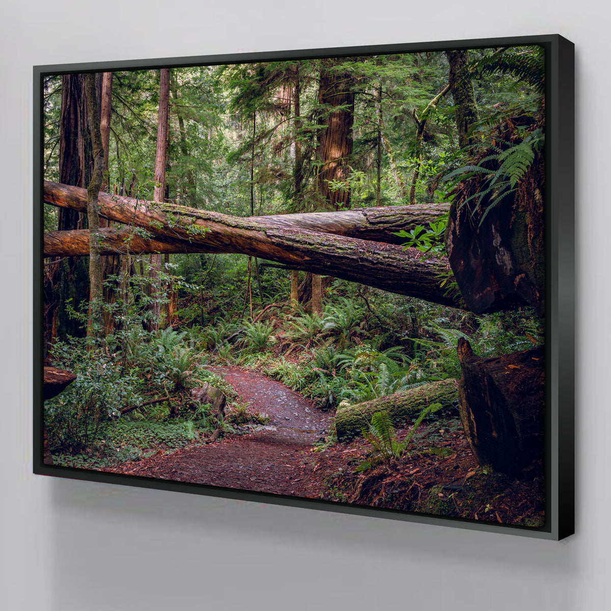 Crossed Trees Wall Art