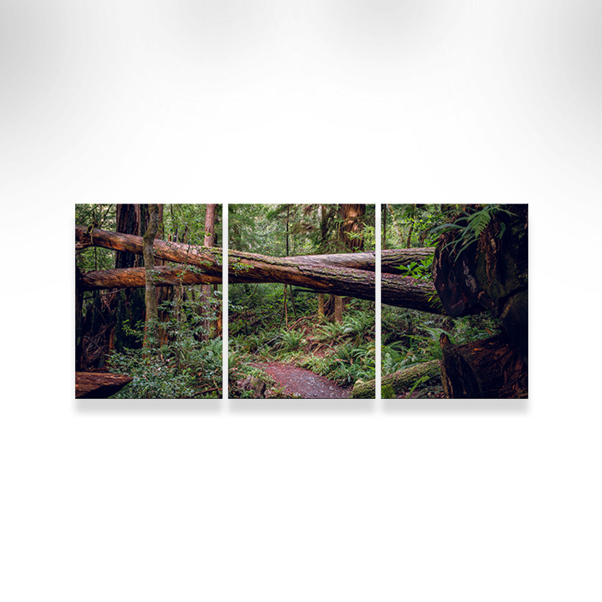 Crossed Trees Wall Art