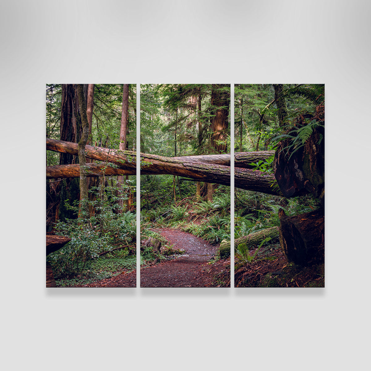 Crossed Trees Wall Art