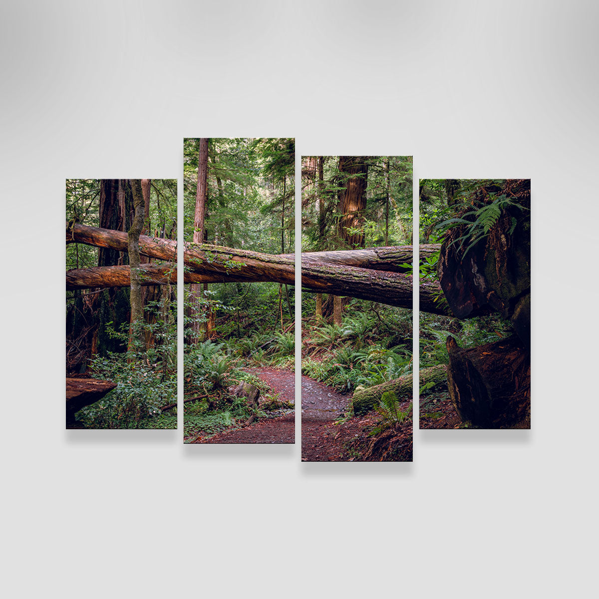 Crossed Trees Wall Art