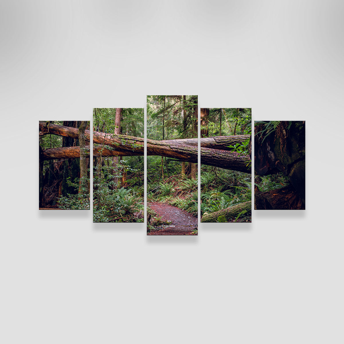 Crossed Trees Wall Art
