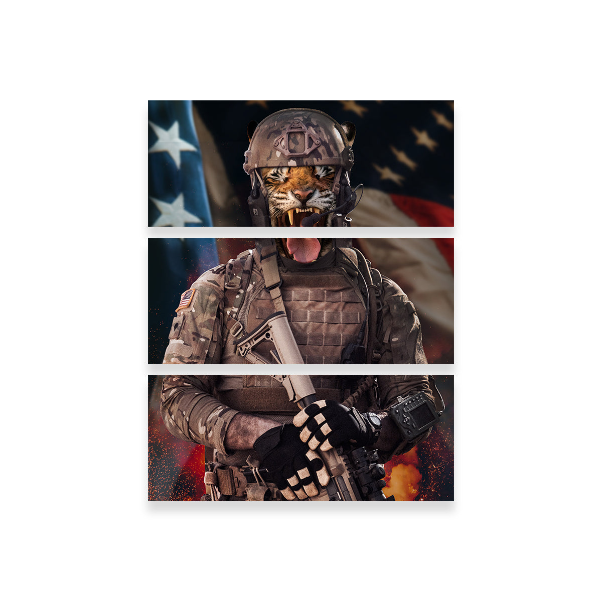 Cry Tiger Soldier Wall Art