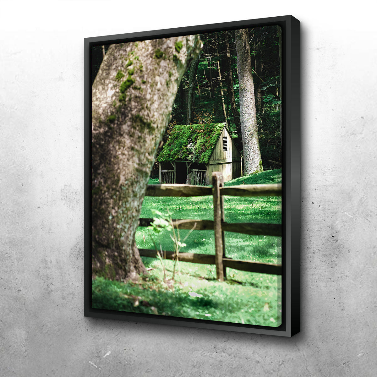 Cuttalossa Moss Wall Art