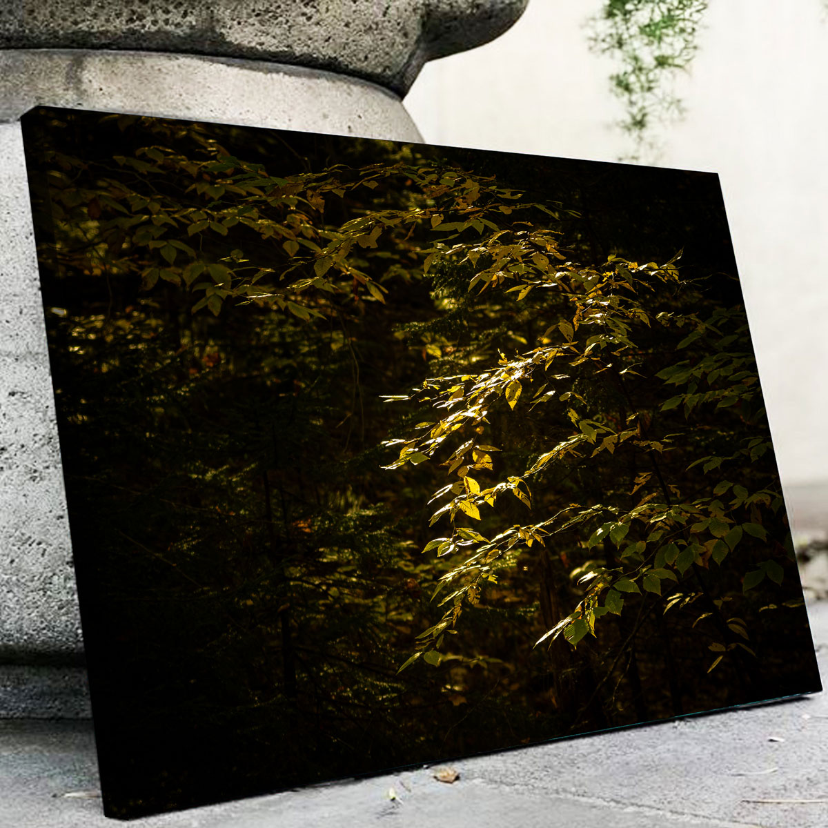 Adirondack Leaves Wall Art