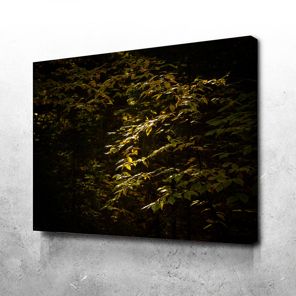 Adirondack Leaves Wall Art