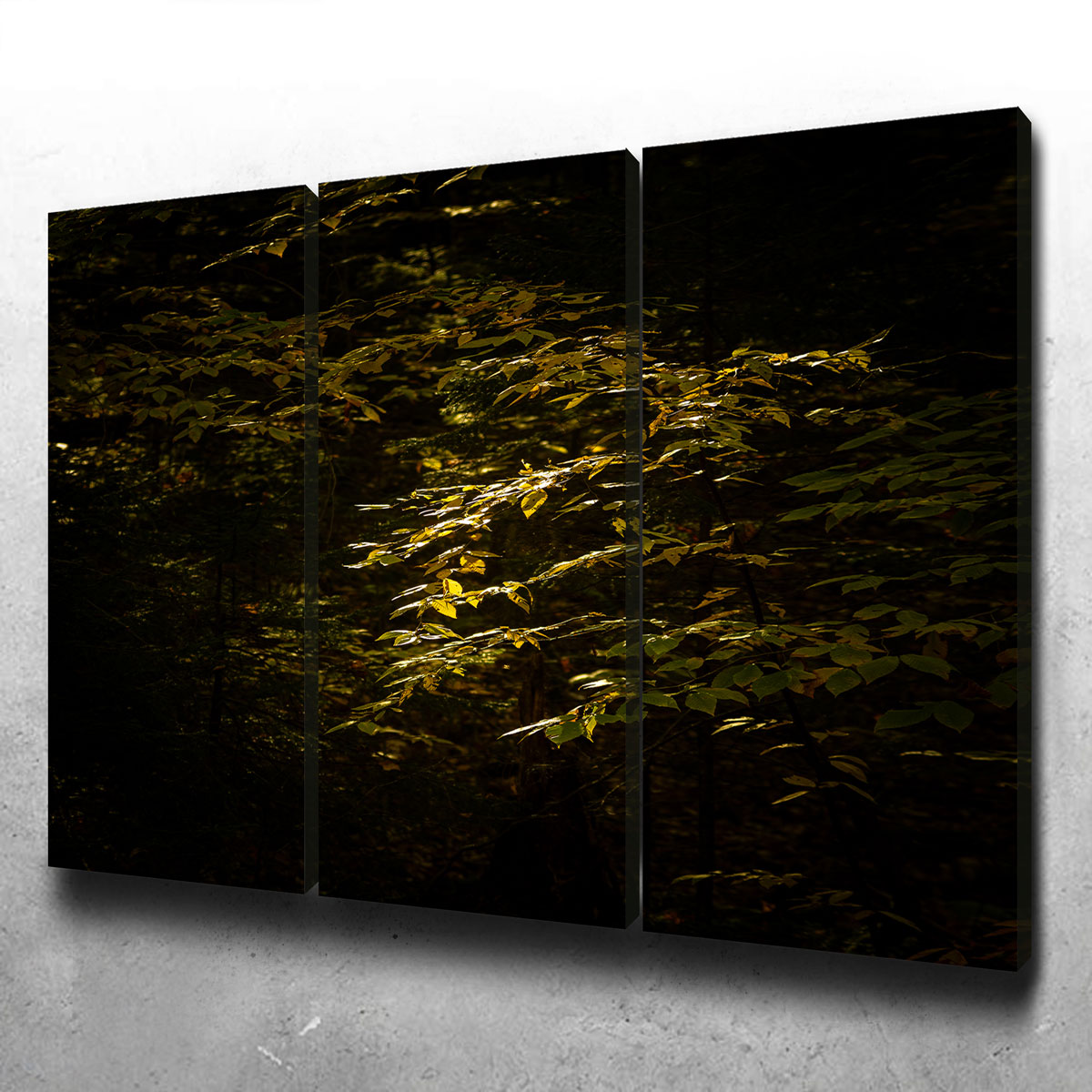 Adirondack Leaves Wall Art