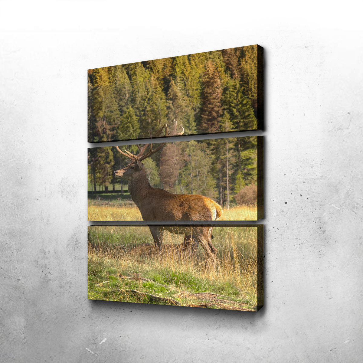 Deer Wall Art