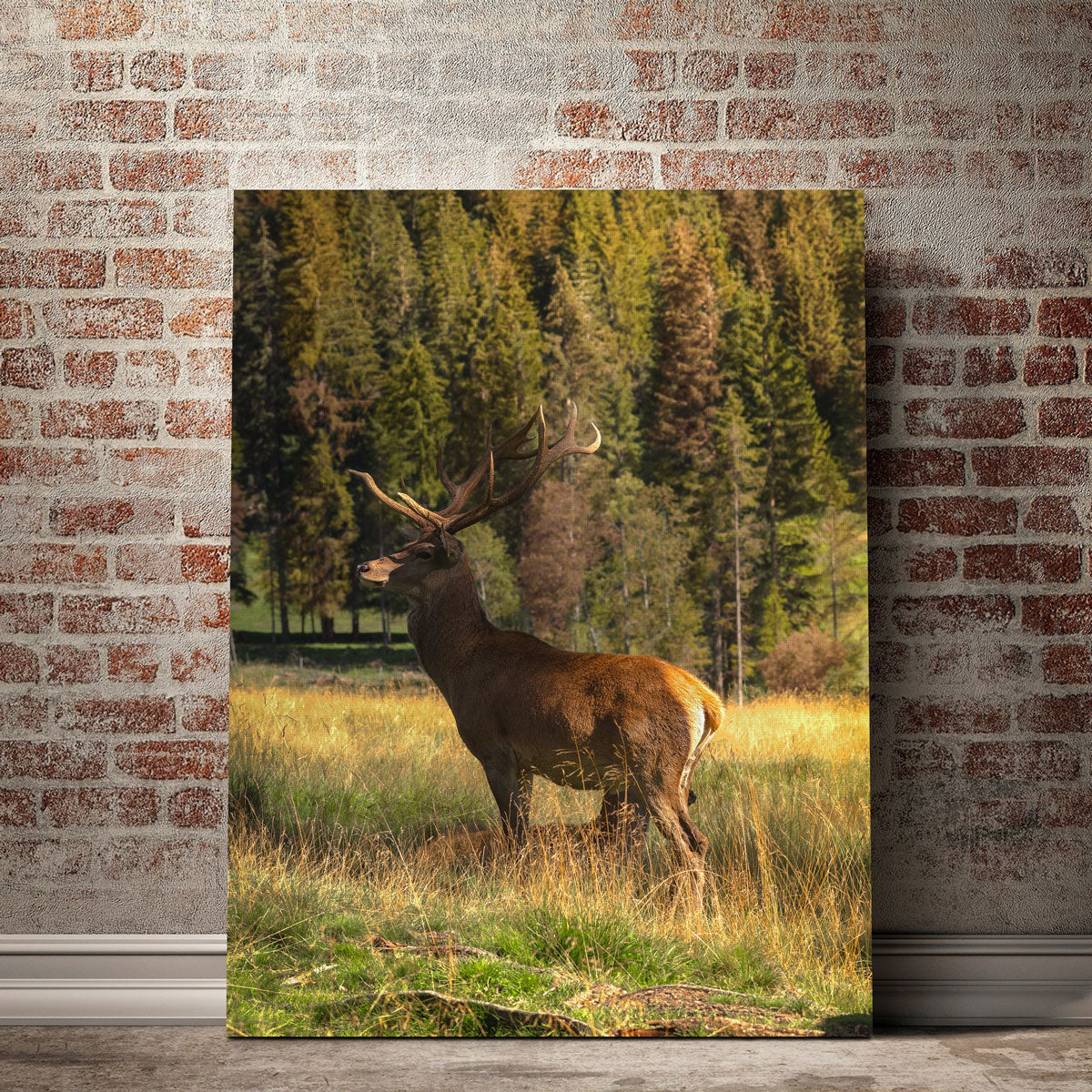 Deer Wall Art
