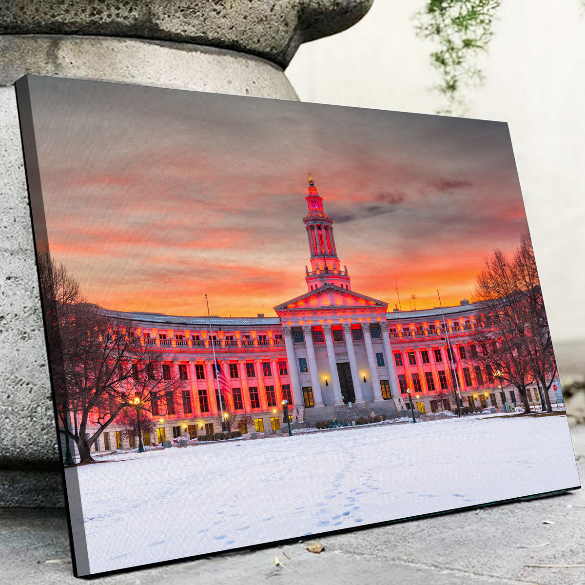 Denver County Wall Art