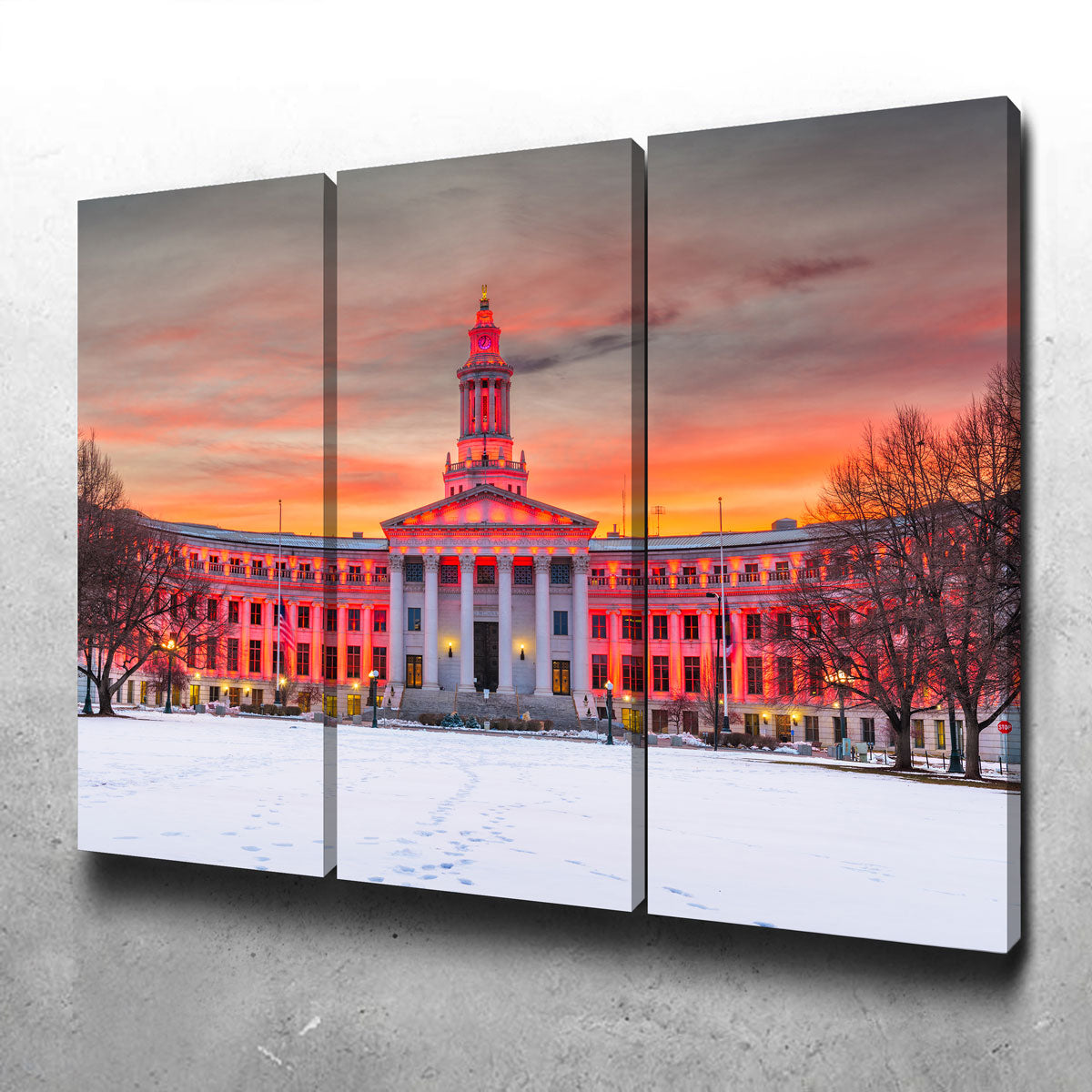 Denver County Wall Art