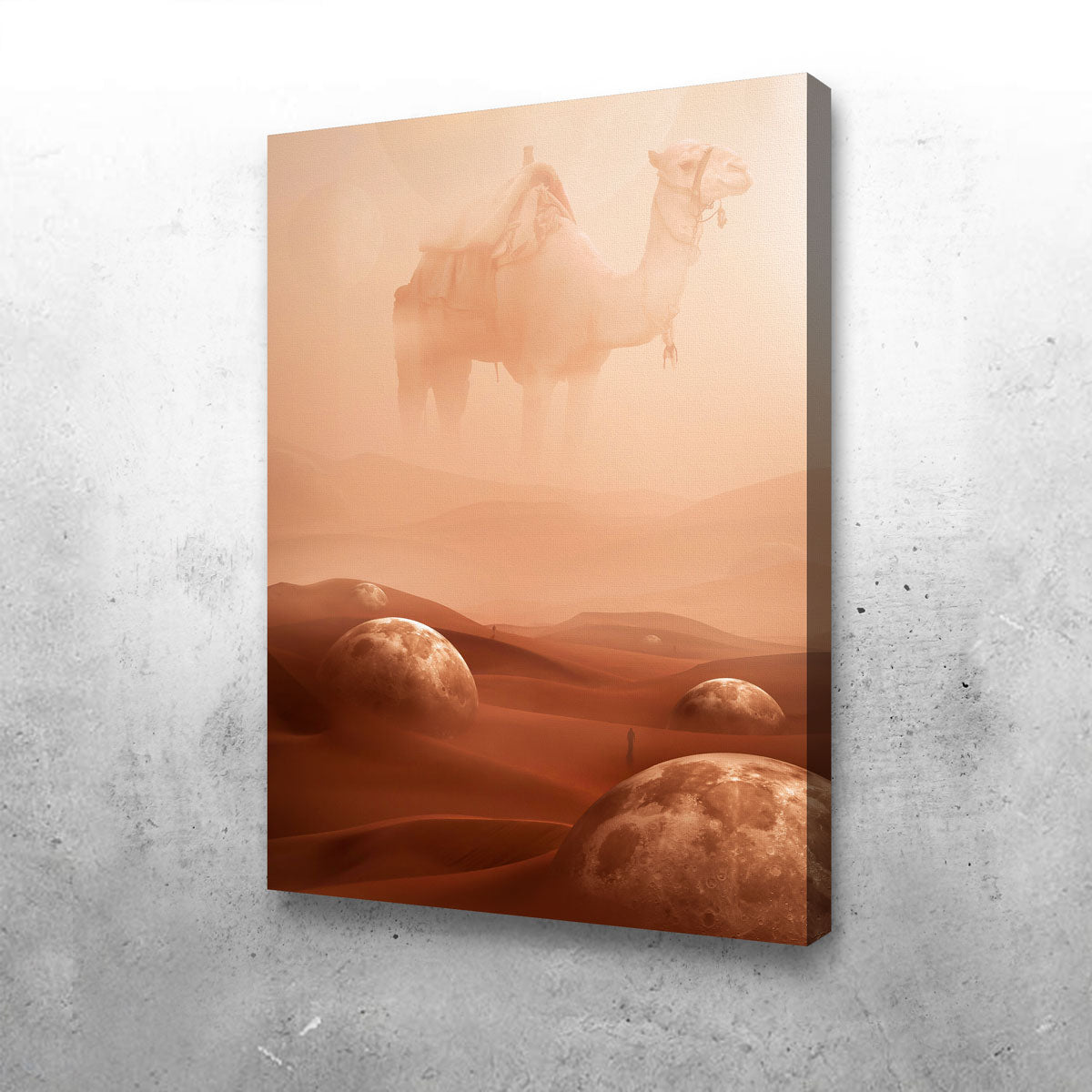 Desert Moons Wall Art