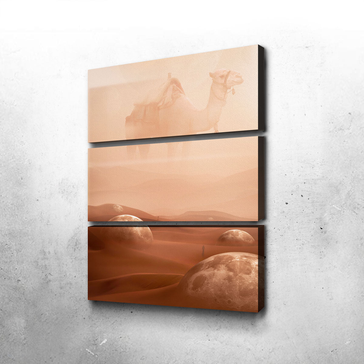 Desert Moons Wall Art