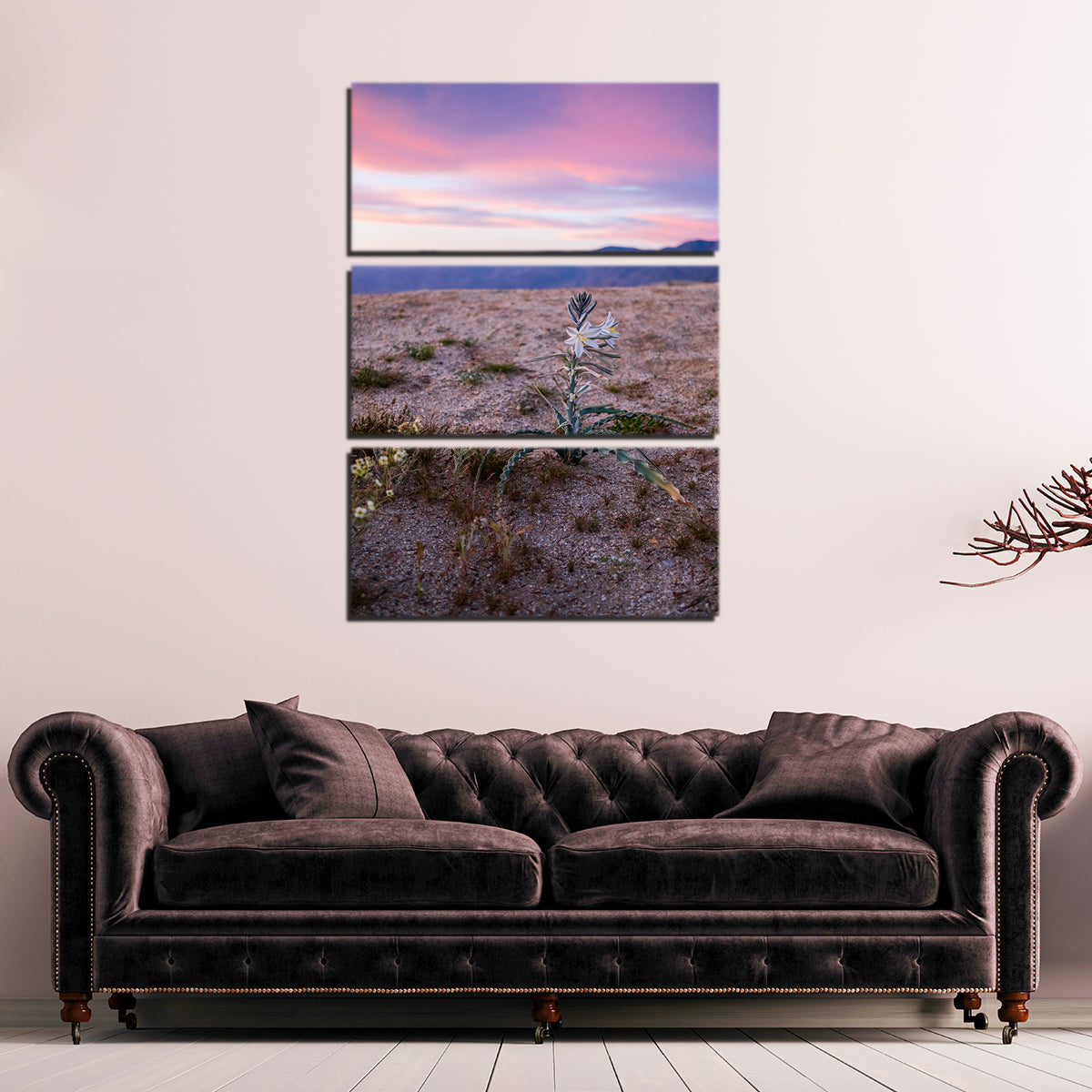 Desert Wild Flowers Wall Art