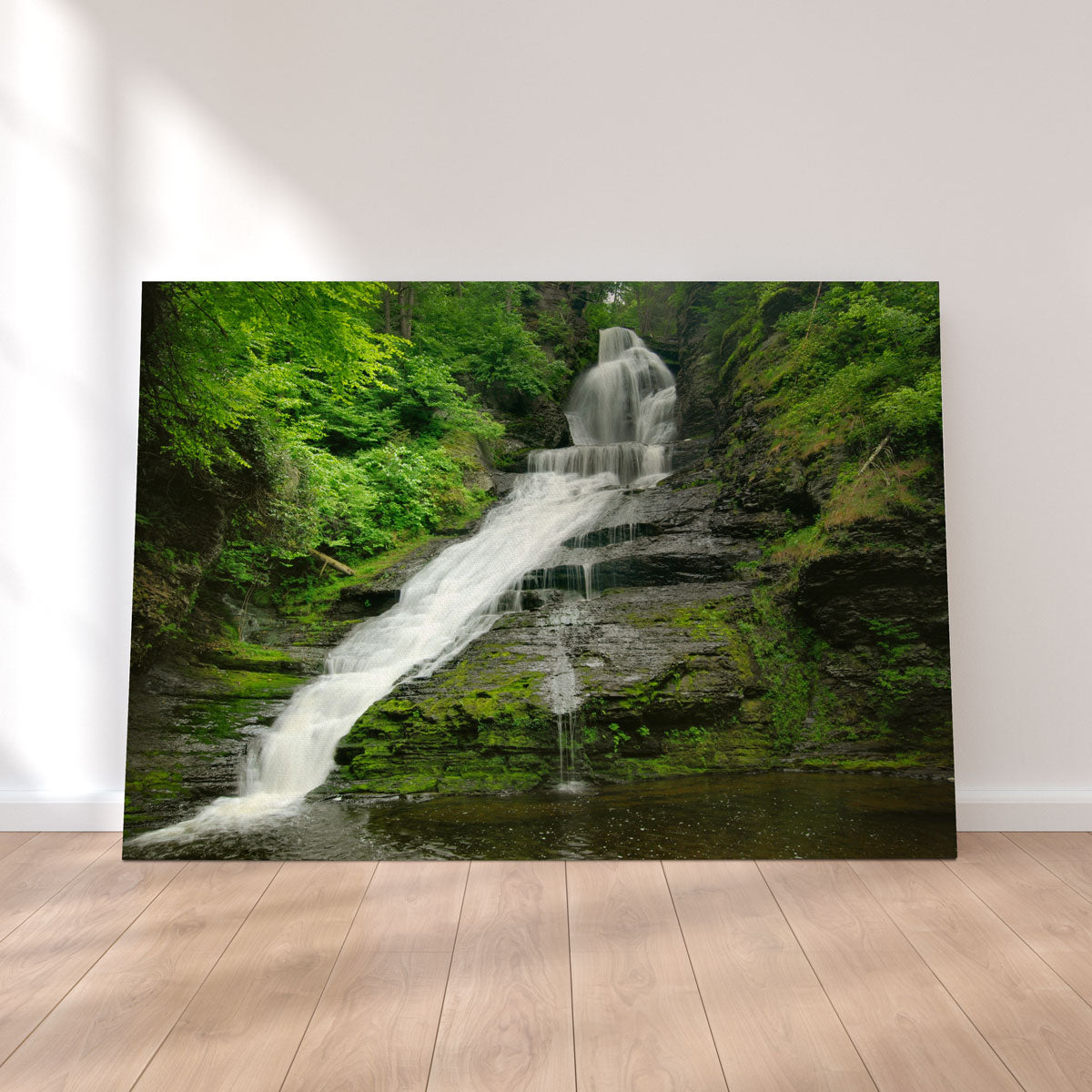 Dingmans Falls Wall Art