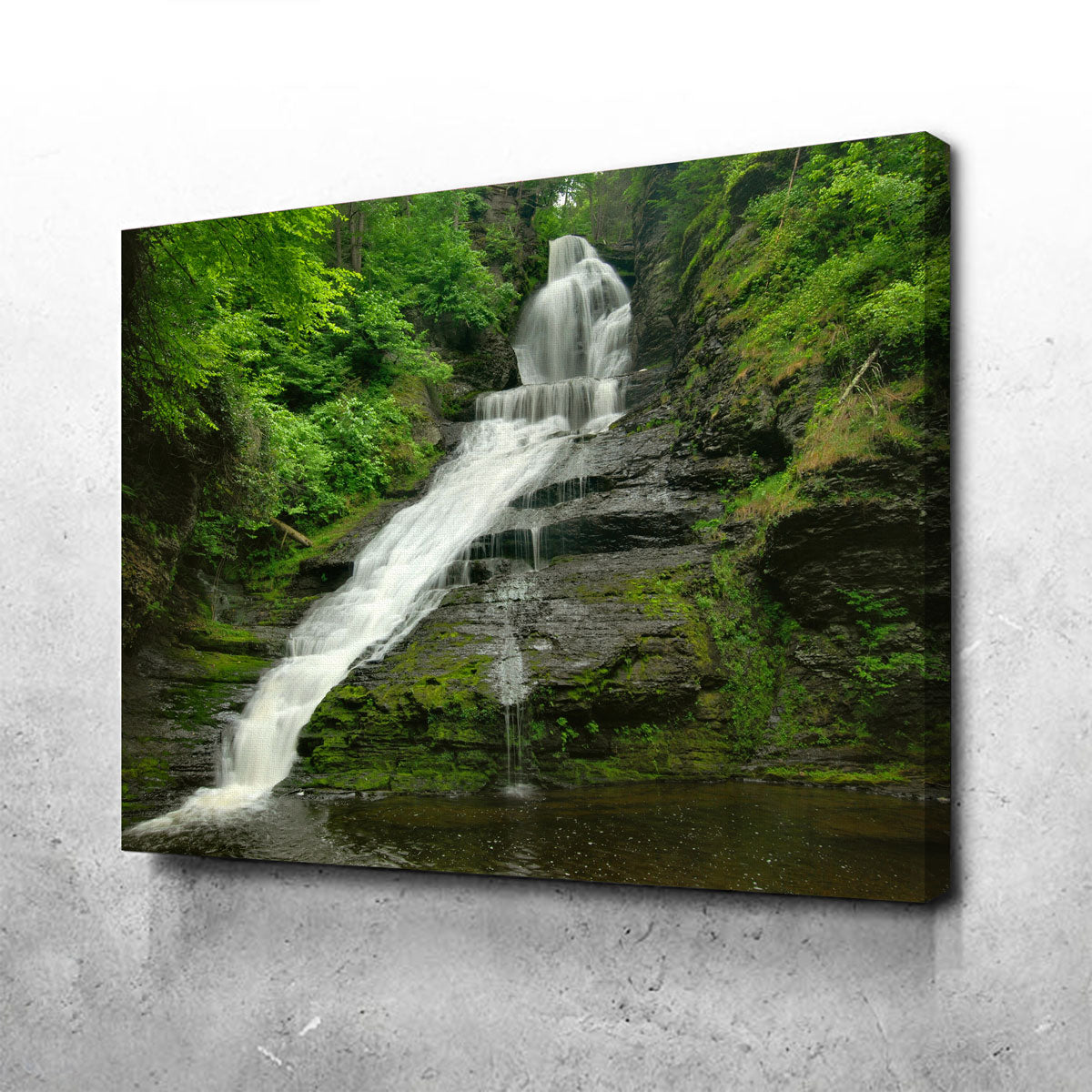 Dingmans Falls Wall Art