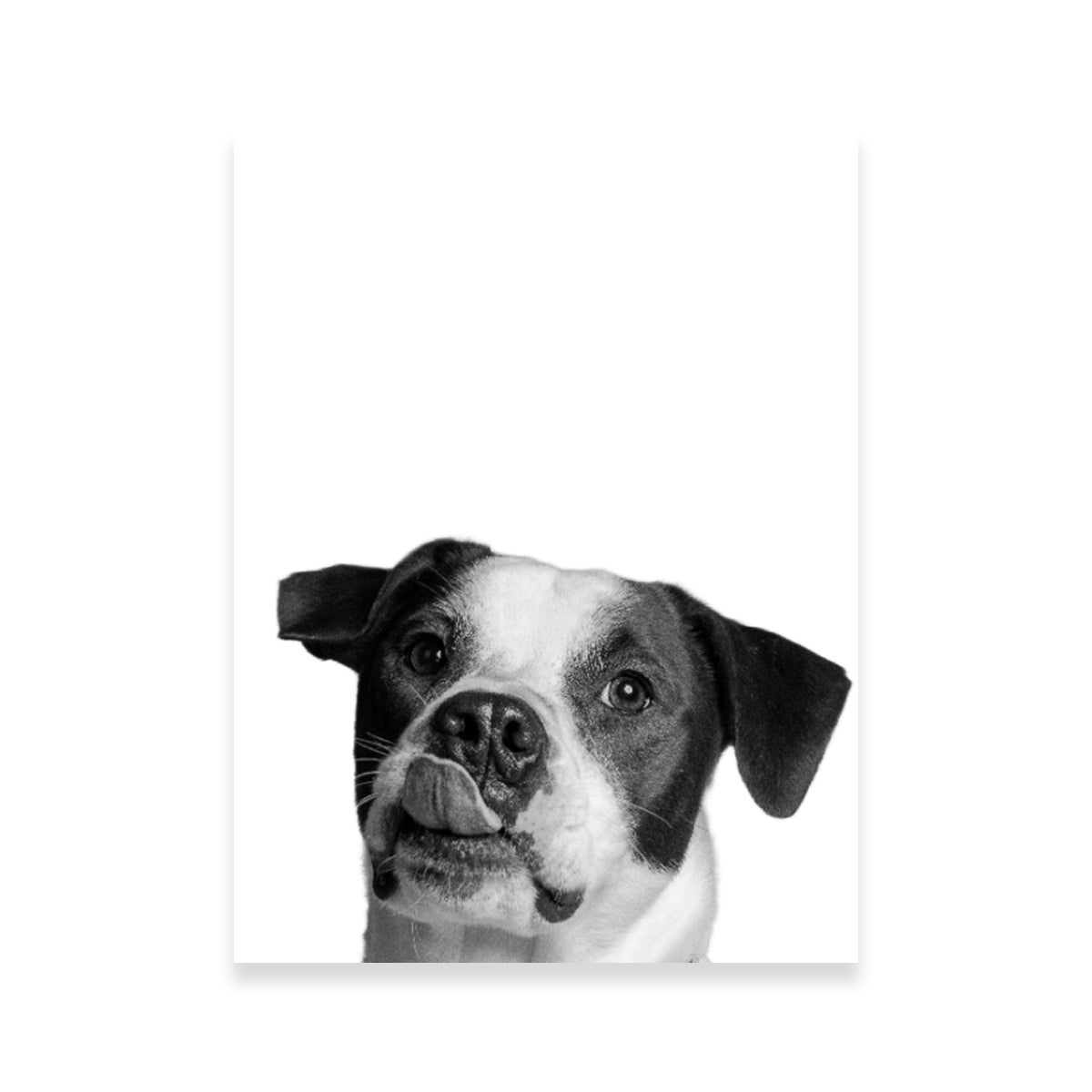 Dog Wall Art