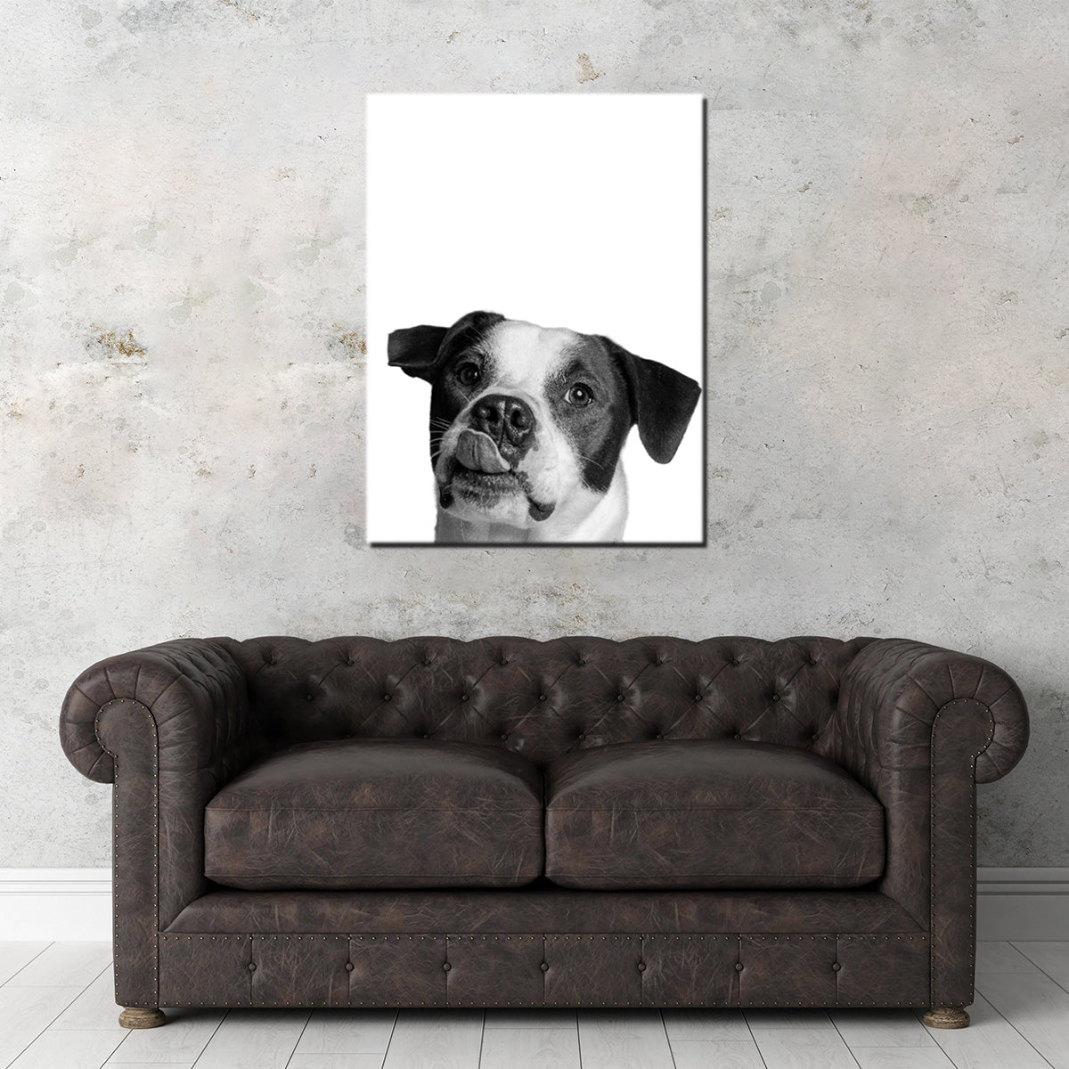 Dog Wall Art
