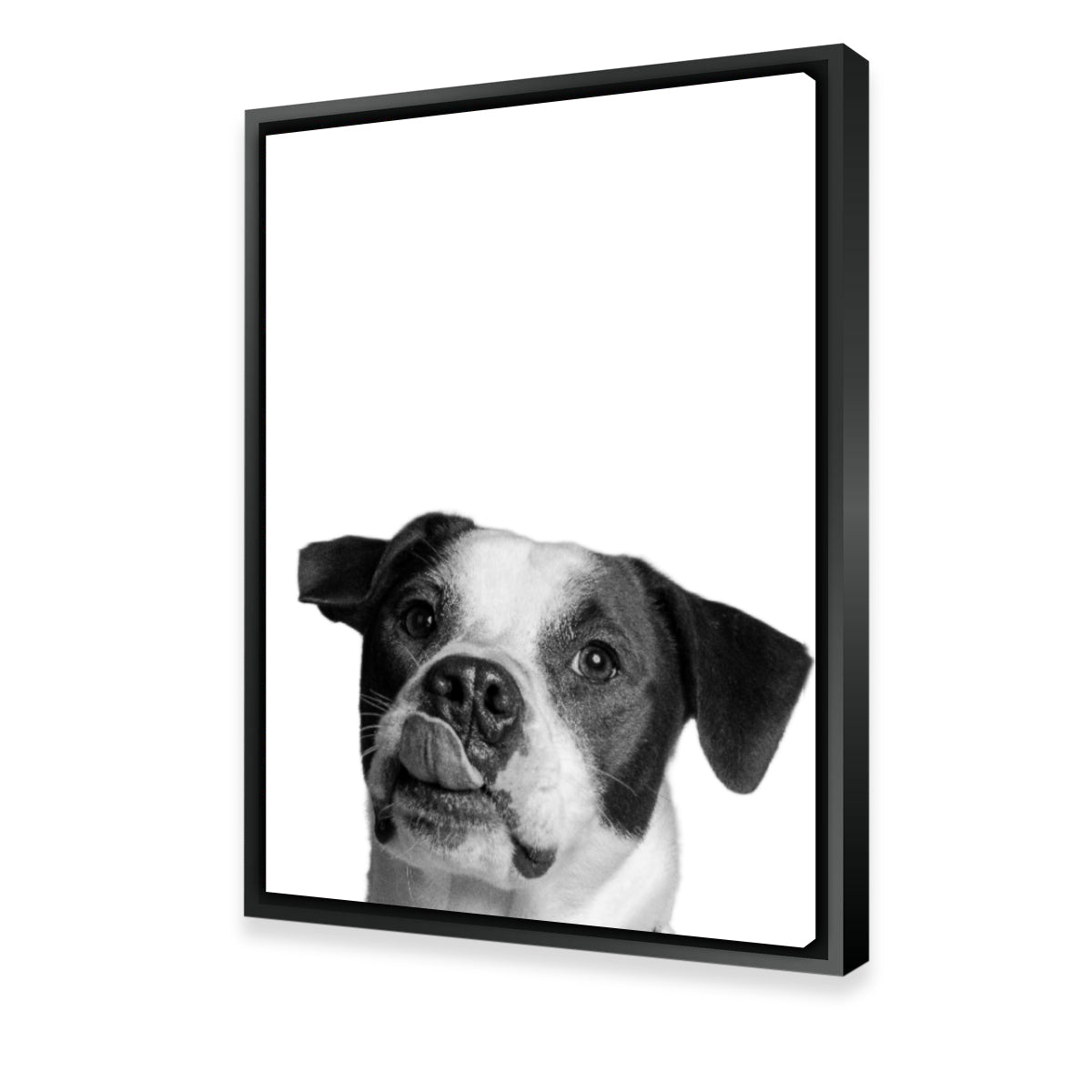 Dog Wall Art