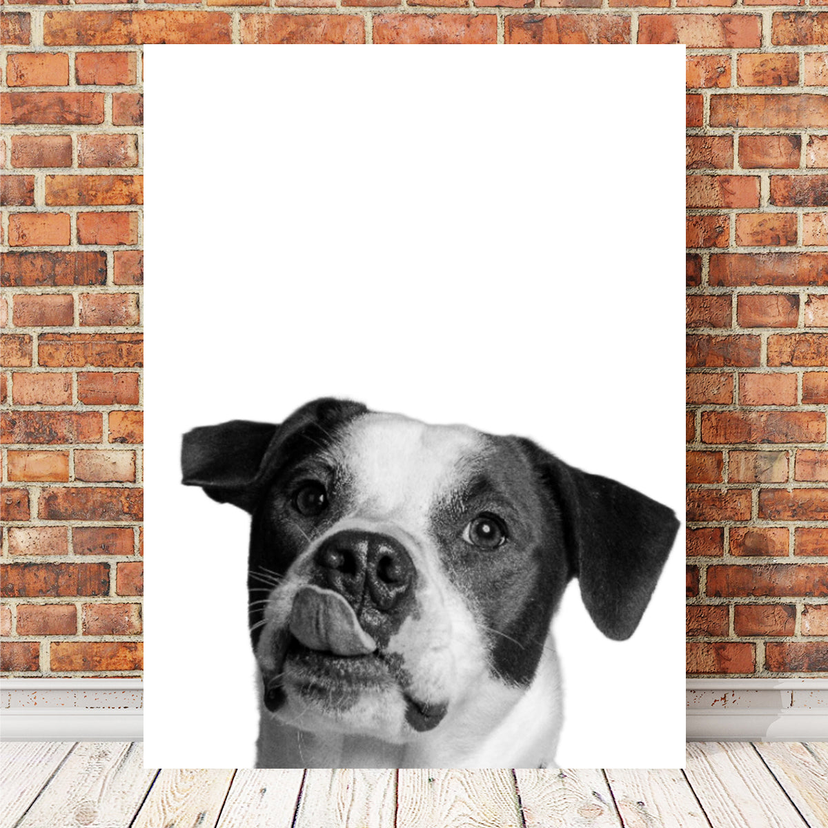 Dog Wall Art