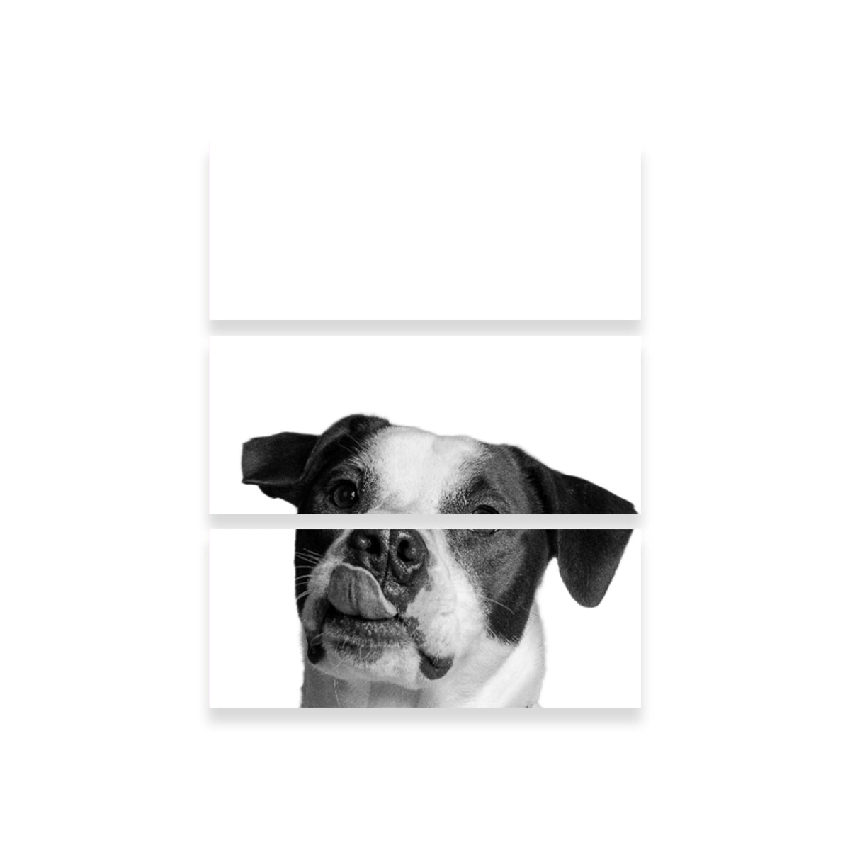 Dog Wall Art
