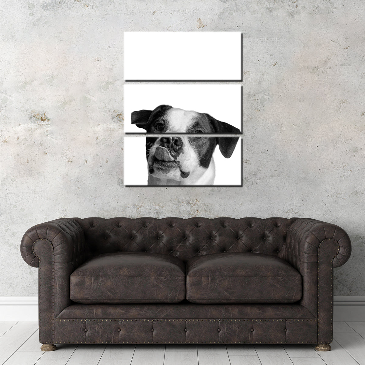 Dog Wall Art