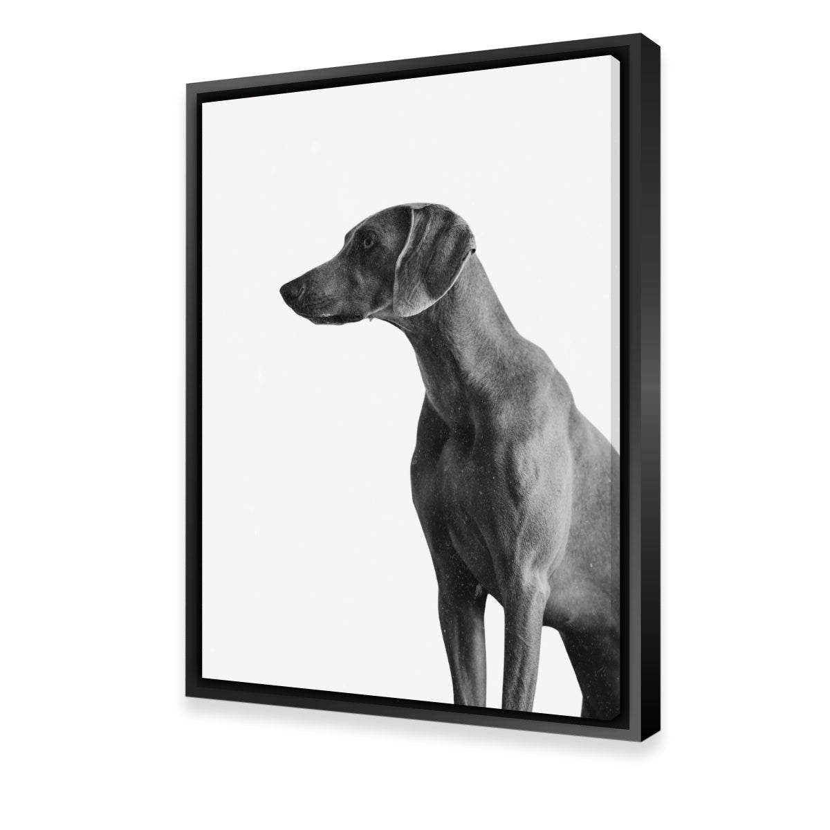 Gazing Dog Wall Art