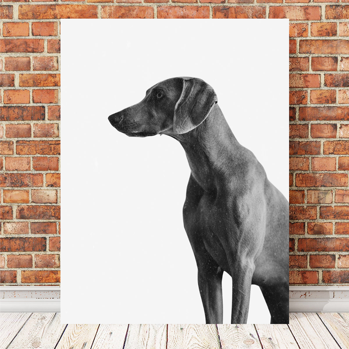 Gazing Dog Wall Art