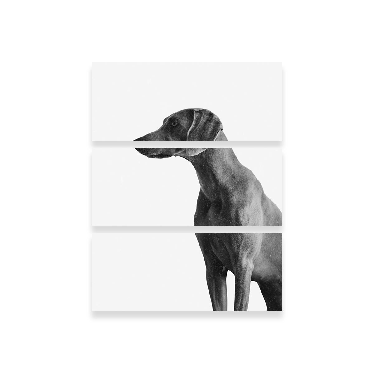 Gazing Dog Wall Art