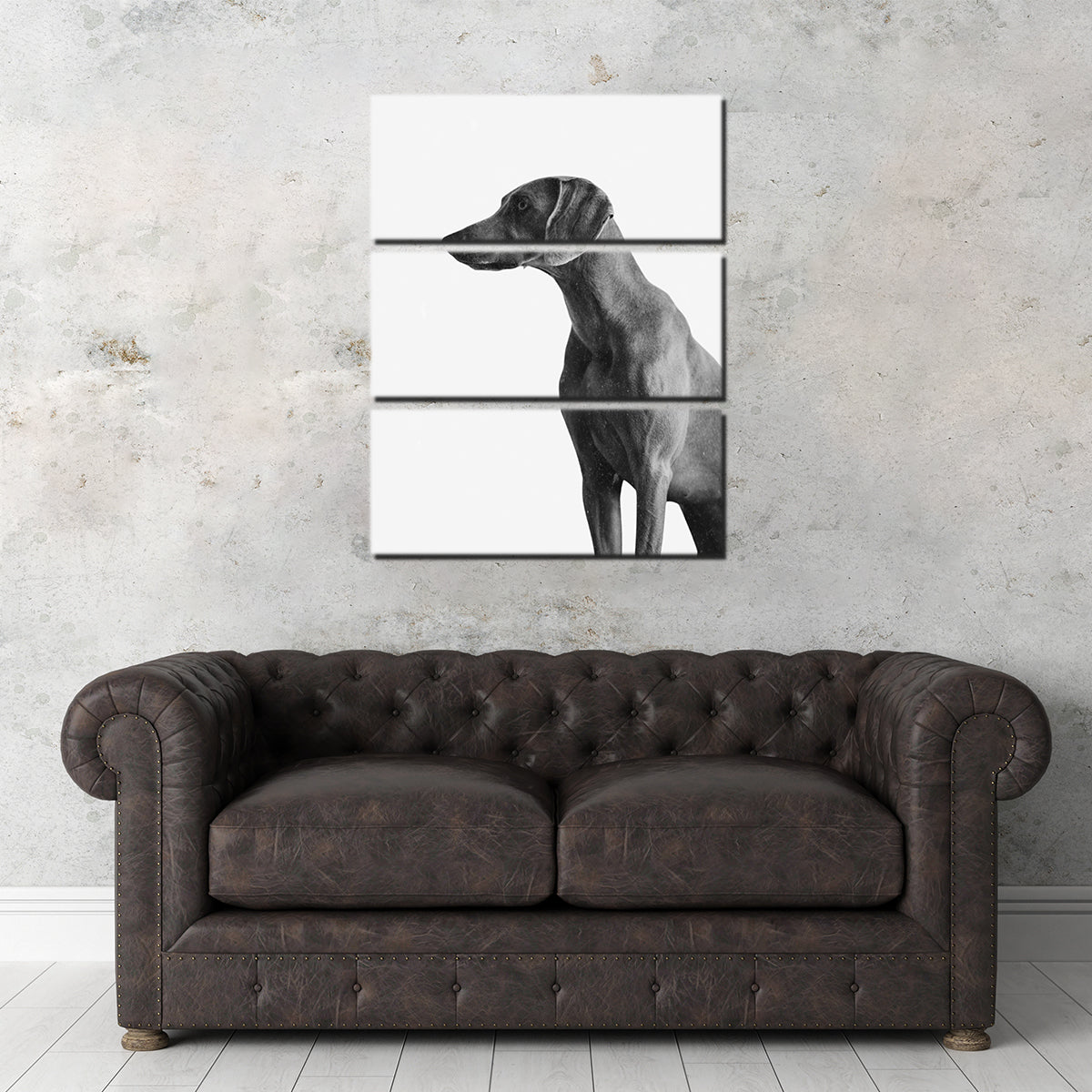 Gazing Dog Wall Art