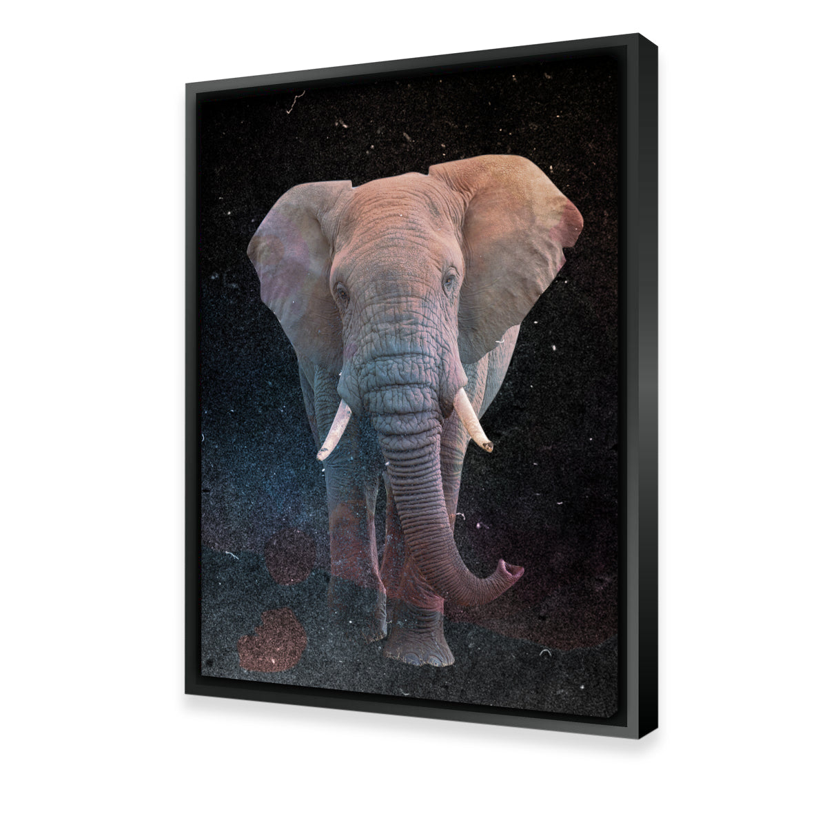 Elephant Art Wall Art