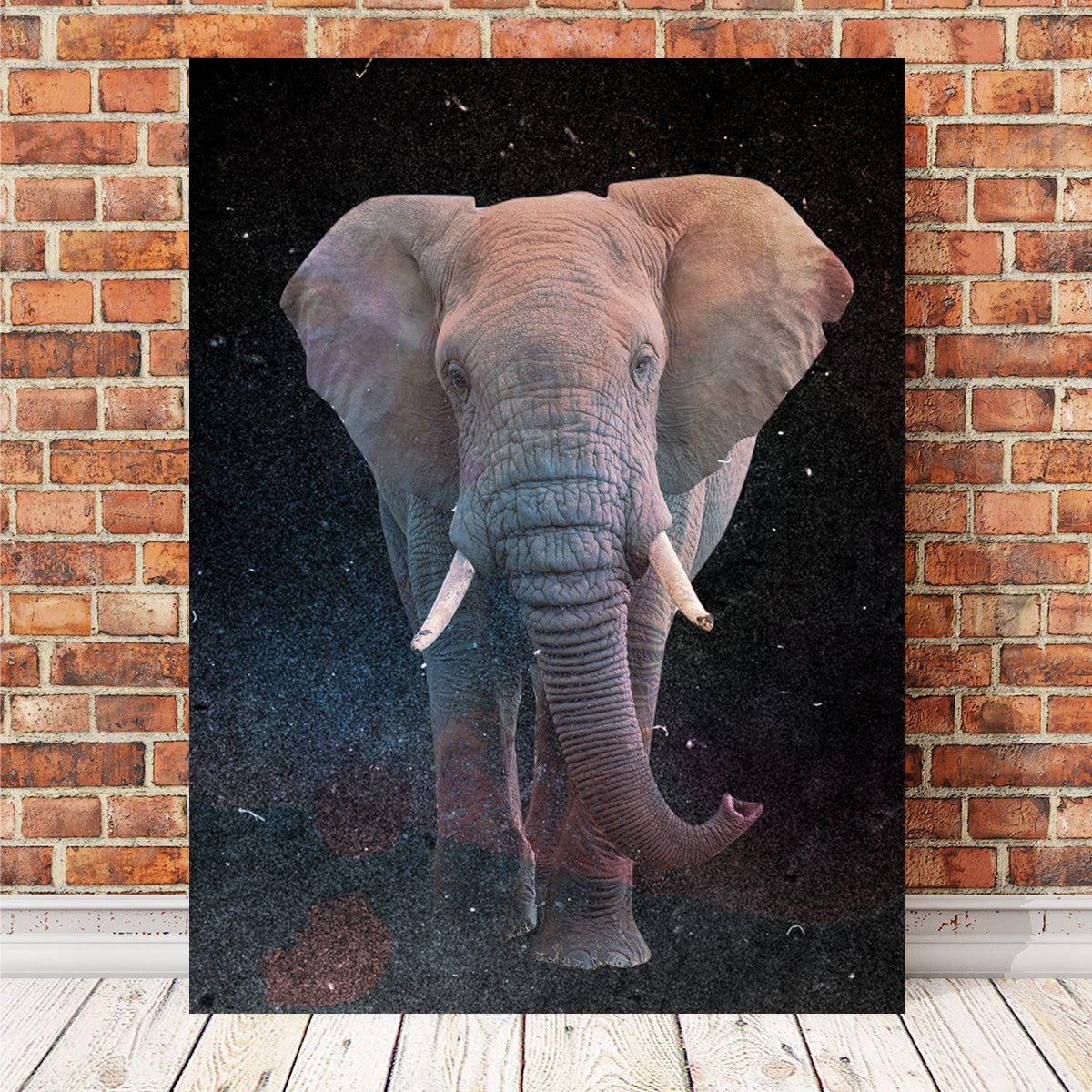 Elephant Art Wall Art