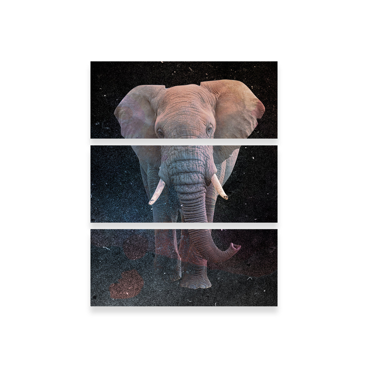 Elephant Art Wall Art