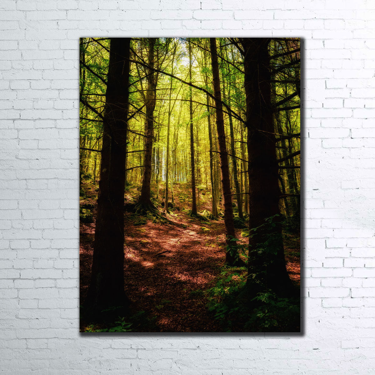Enchanting Forest Vol. 2 Wall Art