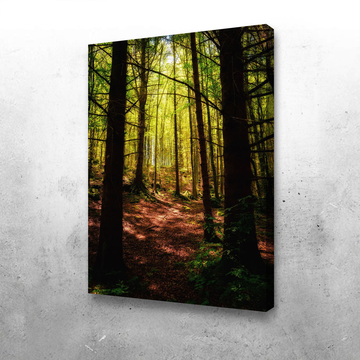 Enchanting Forest Vol. 2 Wall Art