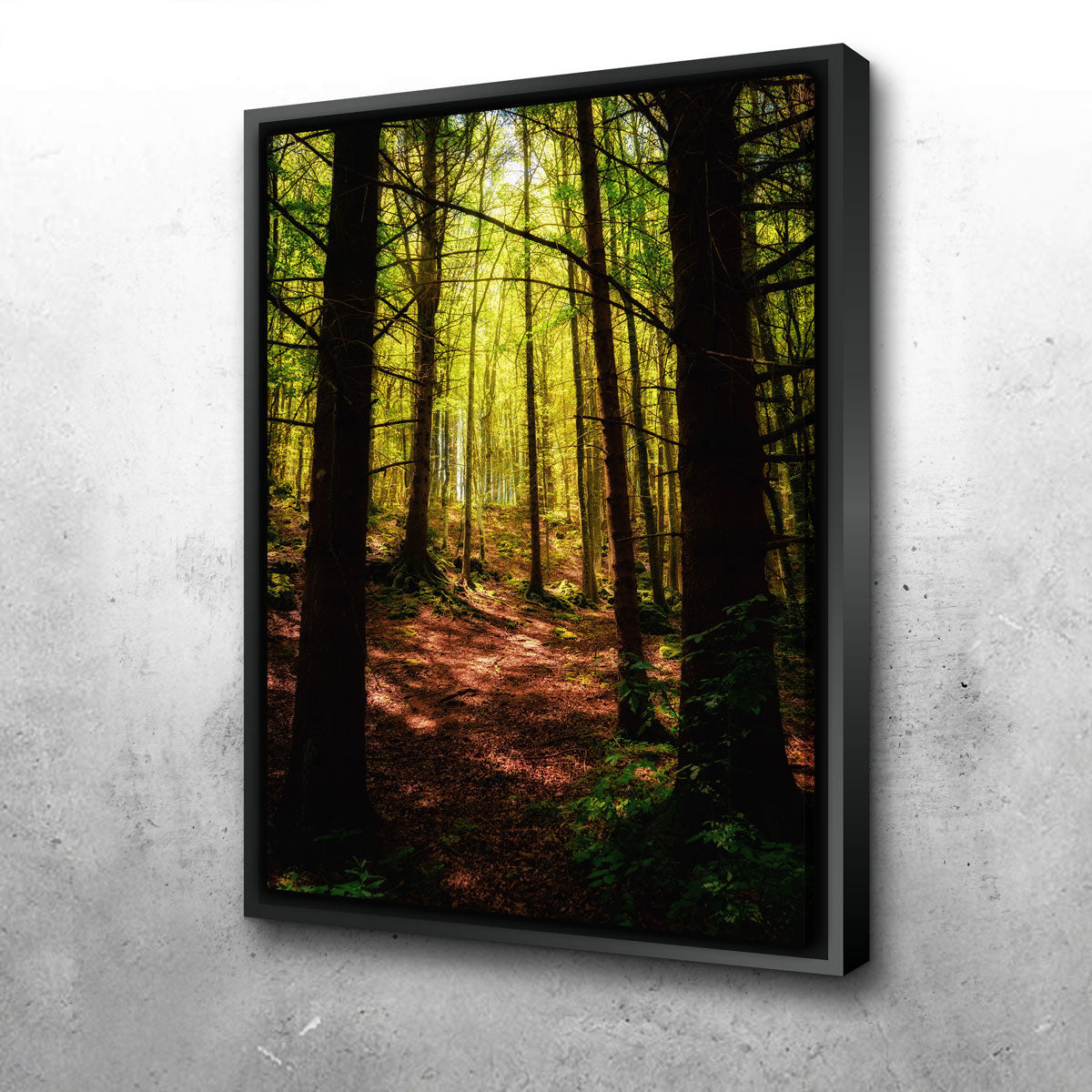 Enchanting Forest Vol. 2 Wall Art